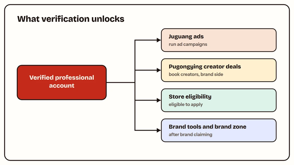 What Xiaohongshu verification unlocks: ads, creator platform, store eligibility, brand tools